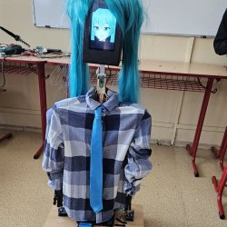 Z Robocupu sme priviezli opäť pódiové umiestnenia