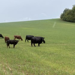 Cvičná expedícia DofE